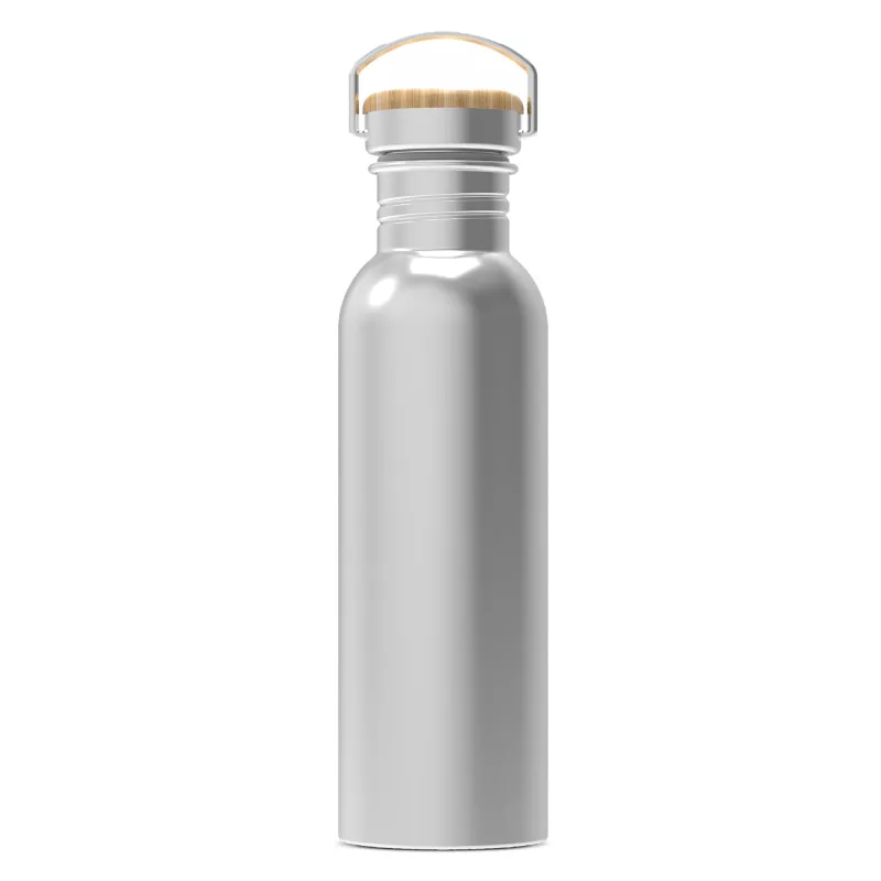 Butelka metalowa z pojedynczą ścianką Ashton 750ml - srebrny (LT98885-N0005)
