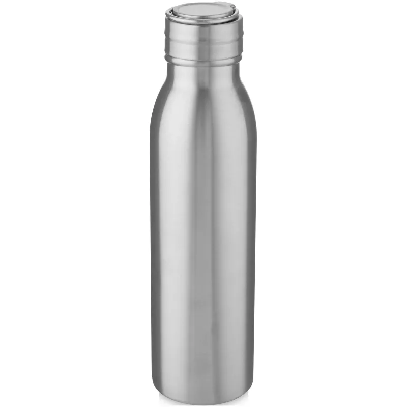 Butelka ze stali nierdzewnej Harper 700 ml z metalową pętelką - Srebrny (10067881)