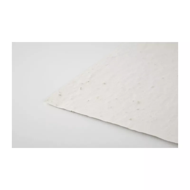 Papier z nasionami kwiatów A4 ASIDI - Bialy (MO6914-06)