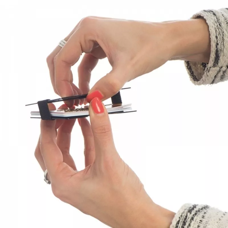 Etui na karty z ochroną RFID GLADSTONE - czarny (041703)