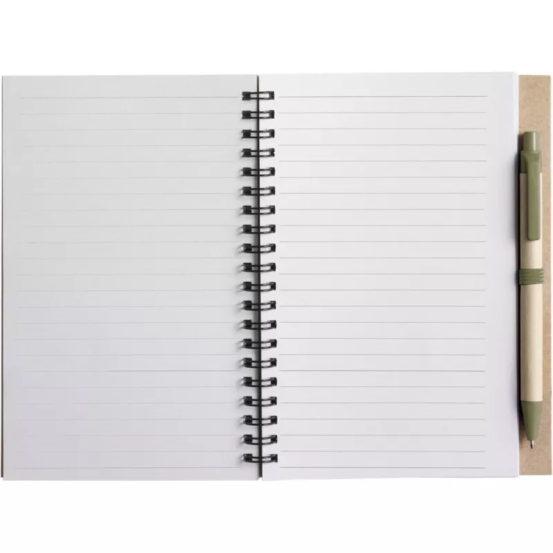 Notatnik ok. A5 z długopisem - jasnozielony (V2389/A-10)