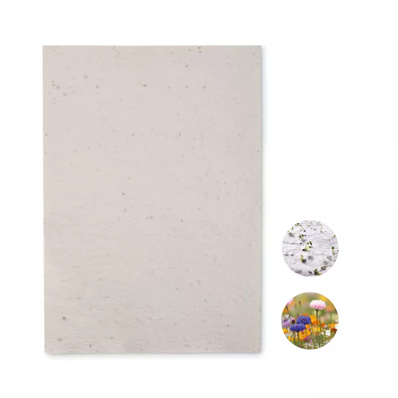 Papier z nasionami kwiatów A4 ASIDI - Bialy (MO6914-06)
