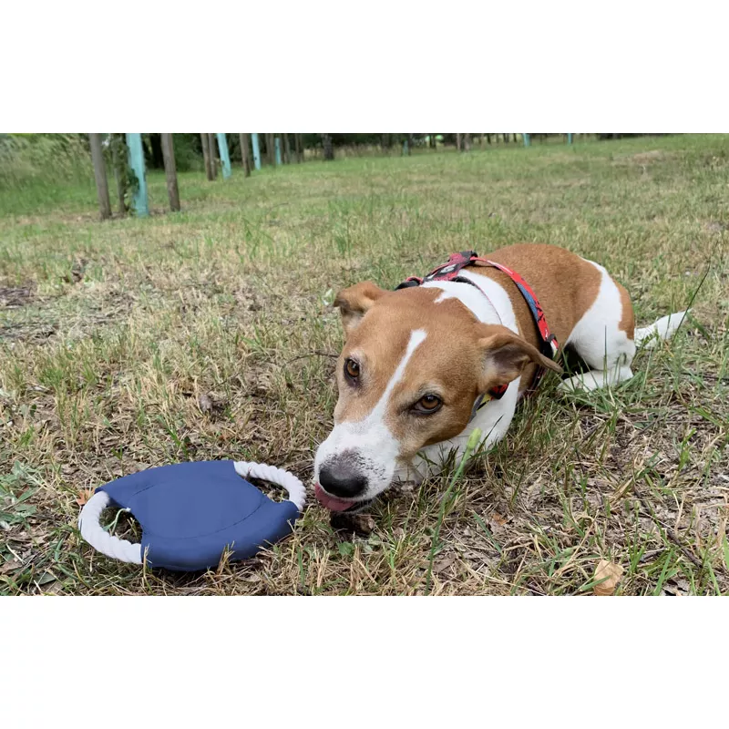 Frisbee dla psa RINGO - niebieski (20059-03)