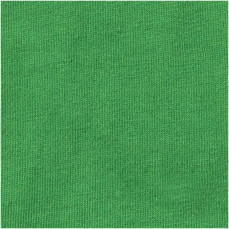 Męski T-shirt 160 g/m²  Elevate Life Nanaimo - Zielona paproć (38011-FERNGRN)