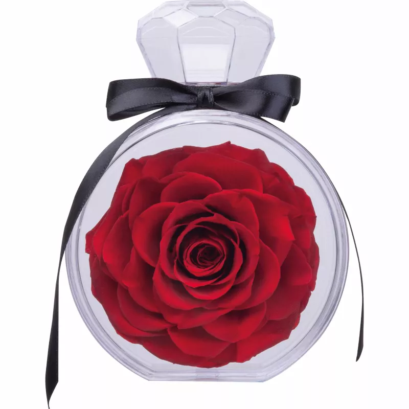 Róża dekoracyjna MARCELLA - czerwony (7542705)