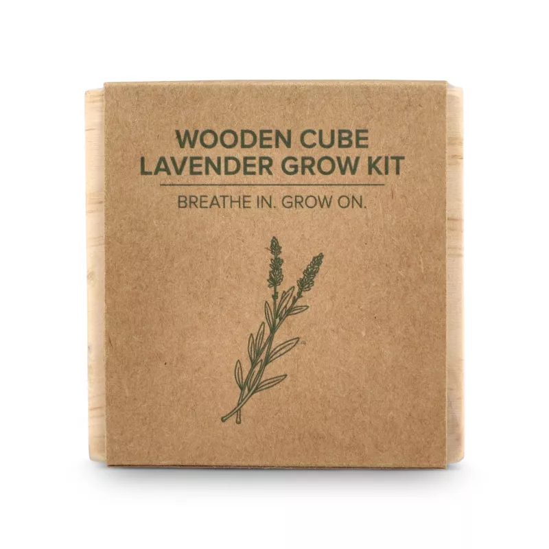 Zestaw drewnianych doniczek FSC – lawenda - naturalny-t (LT94575-N0094)