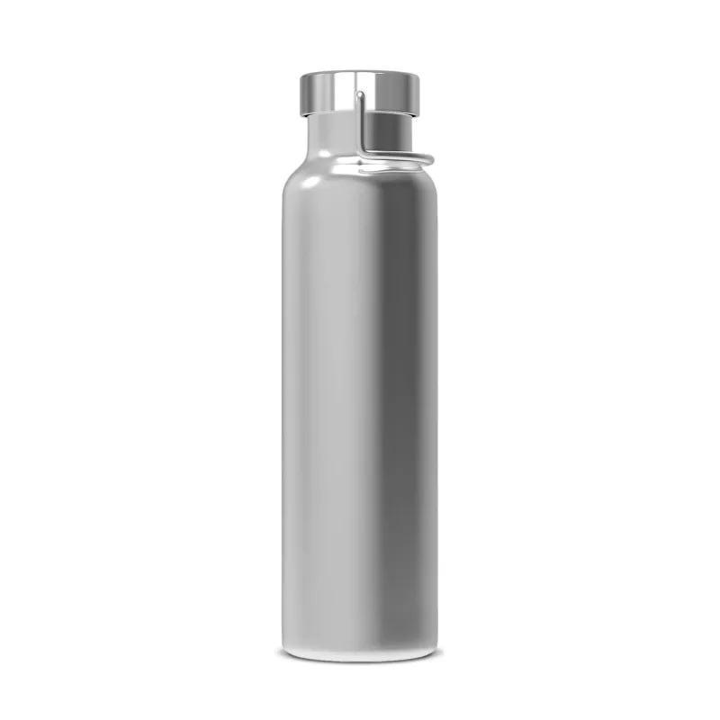 Butelka termiczna z podwójnymi ściankami Skyler 650ml - srebrny (LT98863-N0005)