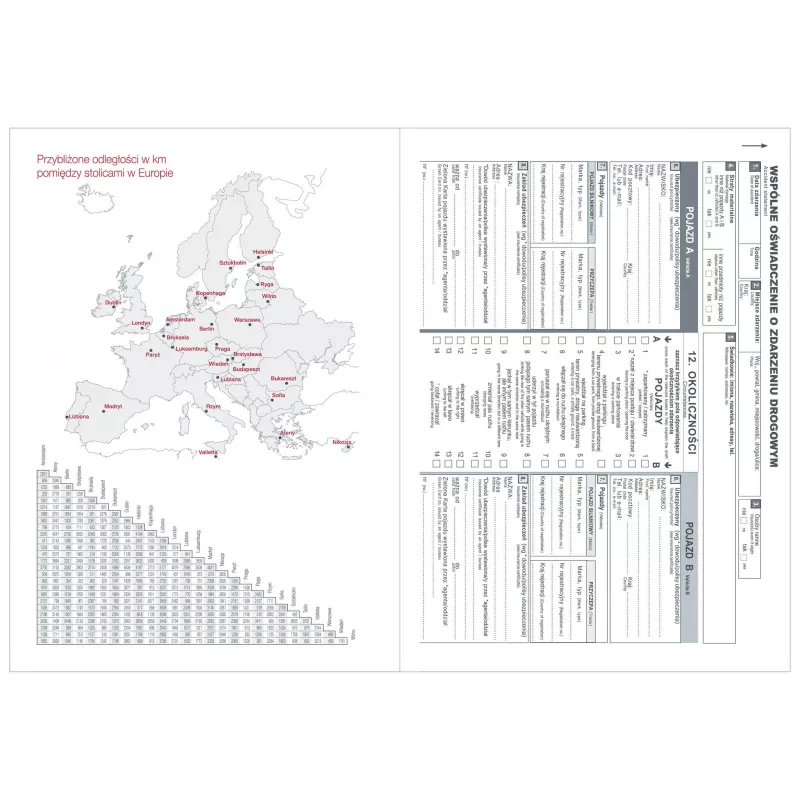 Kalendarz książkowy A5 DZIENNY registry nie wycinane - różne kolory (KK-CCL-545.DB)