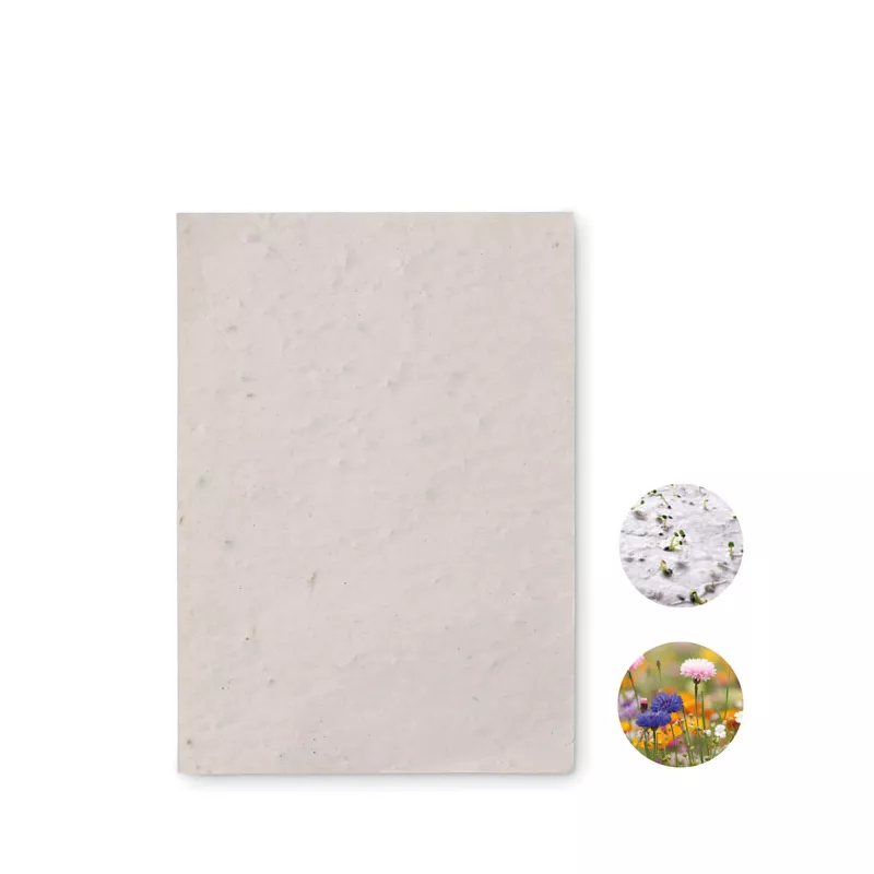 Papier z nasionami kwiatów A6 ASIDO - Bialy (MO6916-06)