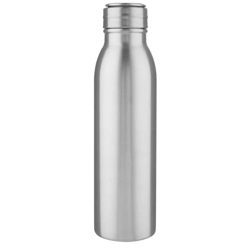 Butelka ze stali nierdzewnej Harper 700 ml z metalową pętelką - Srebrny (10067881)