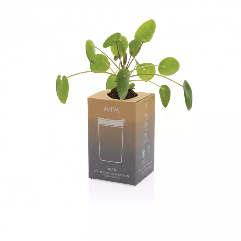 Kubek termiczny 300 ml Avira Alya - czarny (P438.021)