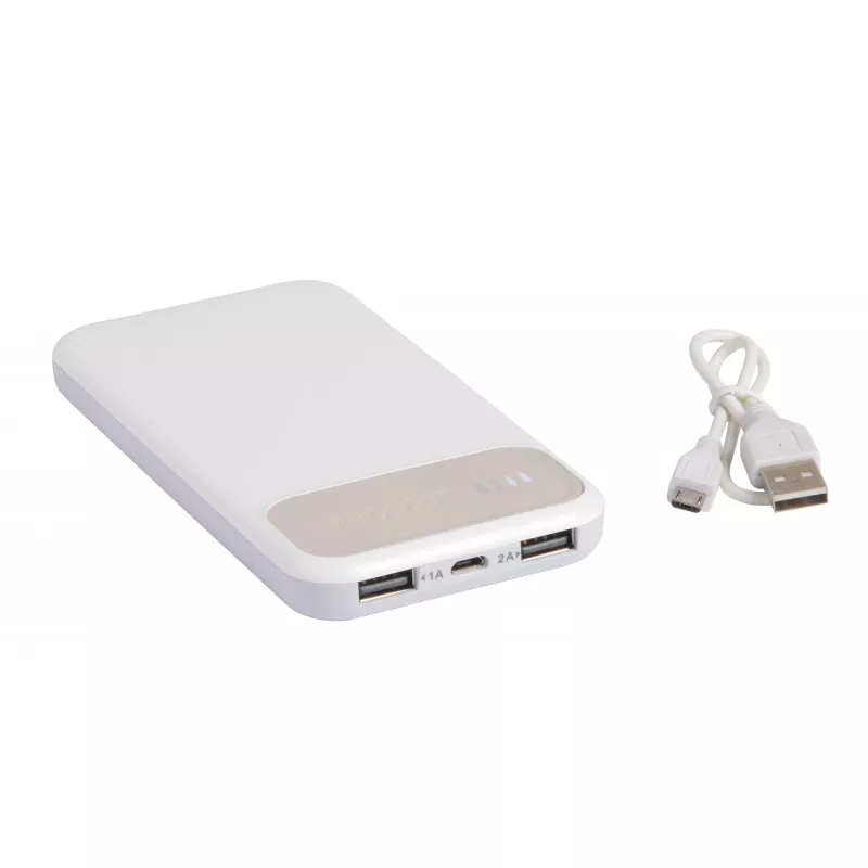Power bank SILICON VALLEY 10 000 mAh - szary (56-1107238)