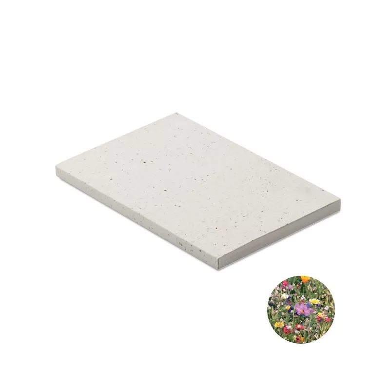 Notes A5 100 kartek w linię SEED BOOK - Bialy (MO2082-06)