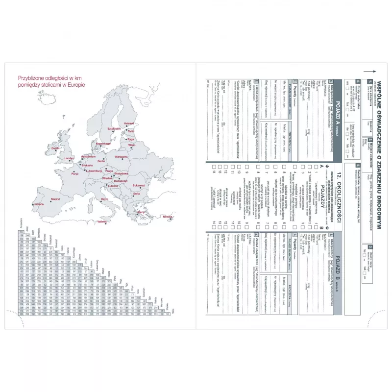 Kalendarz książkowy A5 DZIENNY registry nie wycinane - różne kolory (KK-CCL-745.DB)
