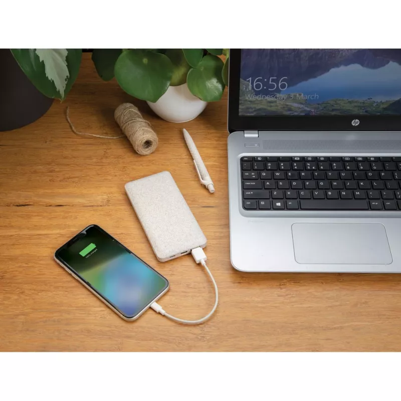 Power bank 10000 mAh - brązowy (P322.299)