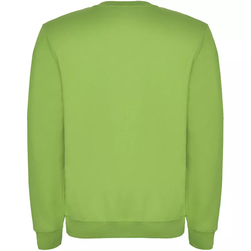 Bluza Clasica - Oasis Green (R1070-OASISGR)