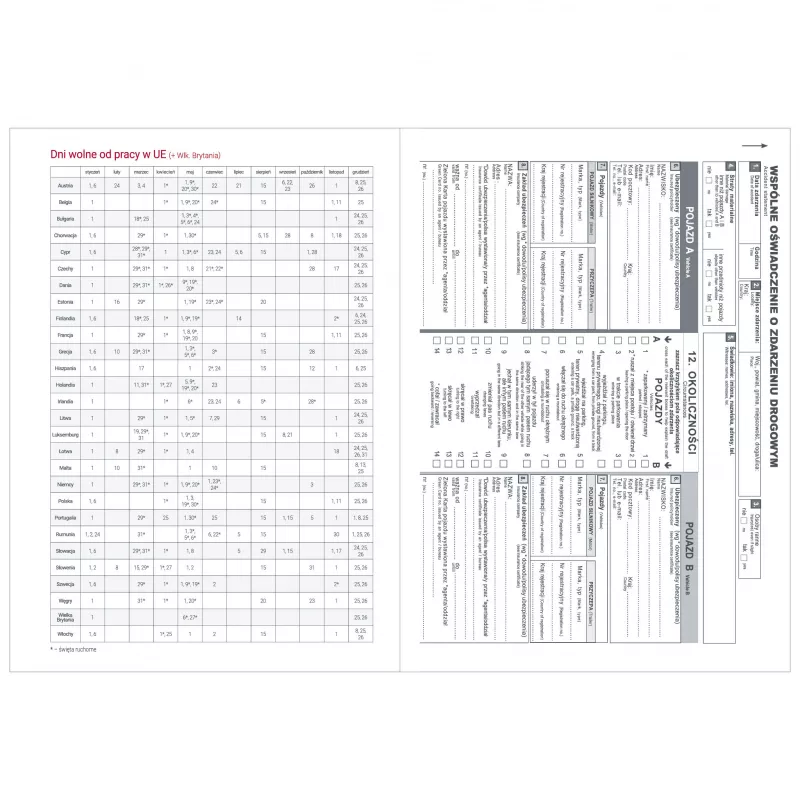 Kalendarz książkowy A5 DZIENNY "BALADO" - różne kolory (KK-CCB-405.DB)