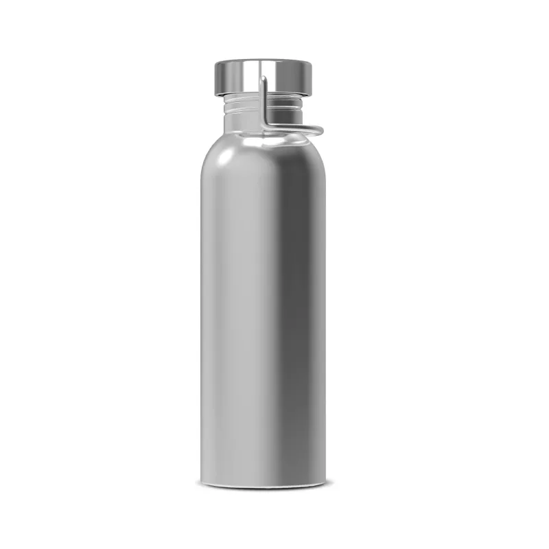 Butelka metalowa z pojedynczą ścianką Skyler 750ml - srebrny (LT98865-N0005)