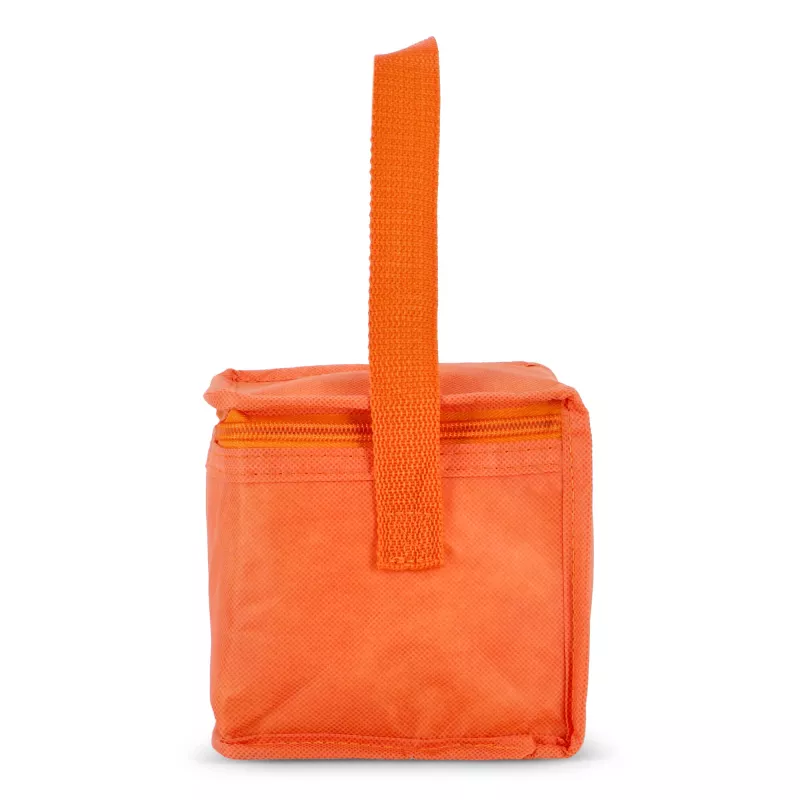 R-PET 6 Torba chłodząca na puszki z włókniny 20 x 13 x 12,5 cm 75g/m² - pomarańczowy (LT95390-N0026)