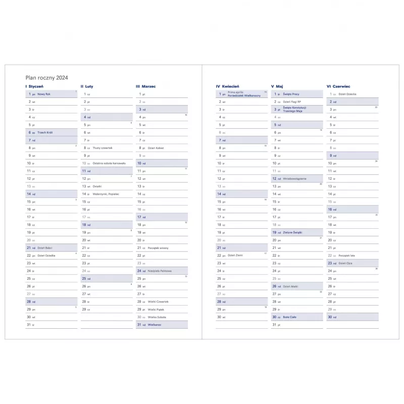 Kalendarz książkowy A5 FLEXI, tygodniowy, notesowy - różne kolory (KK-BCF-426.TN)