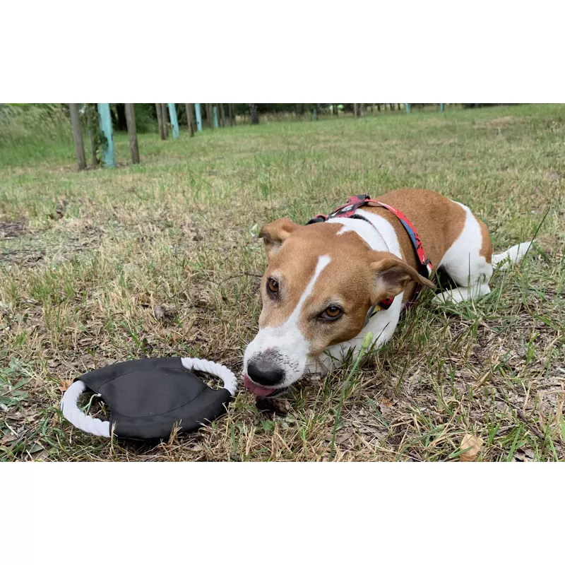 Frisbee dla psa RINGO - czarny (20059-02)