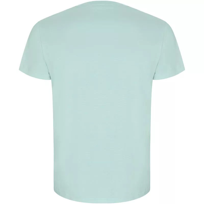 Koszulka T-shirt męska bawełniana 170 g/m² Roly Golden - Zielony miętowy (R6690-MINT)