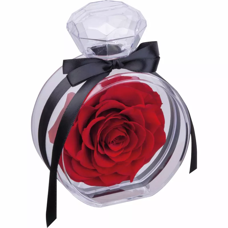 Róża dekoracyjna MARCELLA - czerwony (7542705)