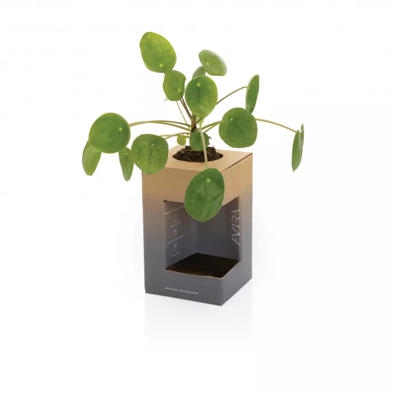 Kubek termiczny 300 ml Avira Alya - czarny (P438.021)