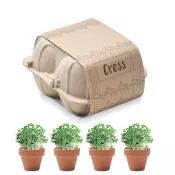 Zestaw 4 doniczek z nasionami rzeżuchy CRESS