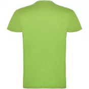 Oasis Green - Beagle koszulka dziecięca z krótkim rękawem
