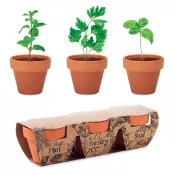 Zestaw 3 doniczek z nasionami ziół FLOWERPOT