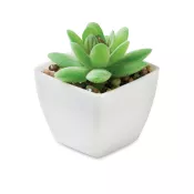 Sztuczna roślina mini graptopetalum z PP ARTIGRAP