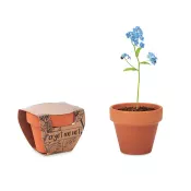 Doniczka z nasionami niezapominajki FORGET ME NOT