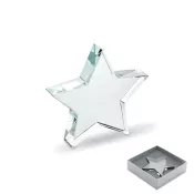 Statuetka szklana gwiazda STARWARD