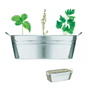 Doniczka cynkowa z nasionami ziół MIX SEEDS