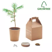 Zestaw do uprawy sosny z doniczką i torfem GROWTREE™