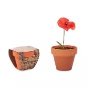 Doniczka z terakoty z nasionami maku RED POPPY
