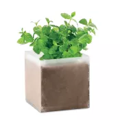 Zestaw do uprawy mięty w torebce MINT