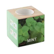 Zestaw do uprawy mięty w drewnianym pojemniku MENTA