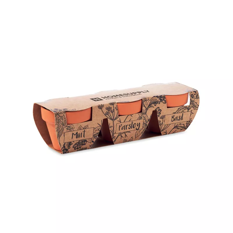 Zestaw 3 doniczek z nasionami ziół FLOWERPOT - Drewna (MO6145-40)
