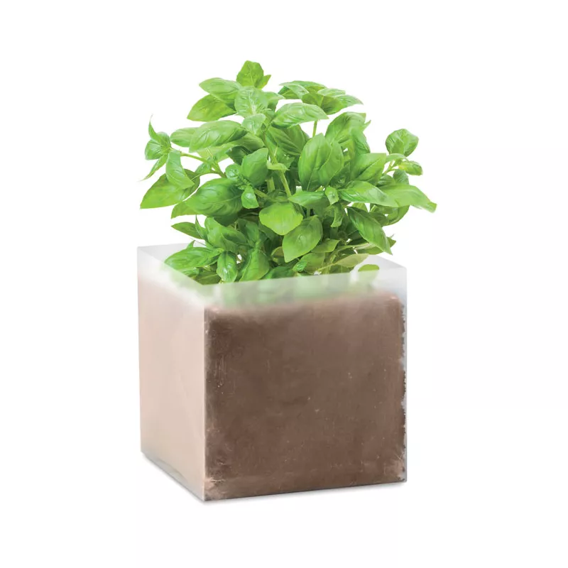 Zestaw do uprawy bazylii w torebce BASIL - Bezowy (MO9545-13)