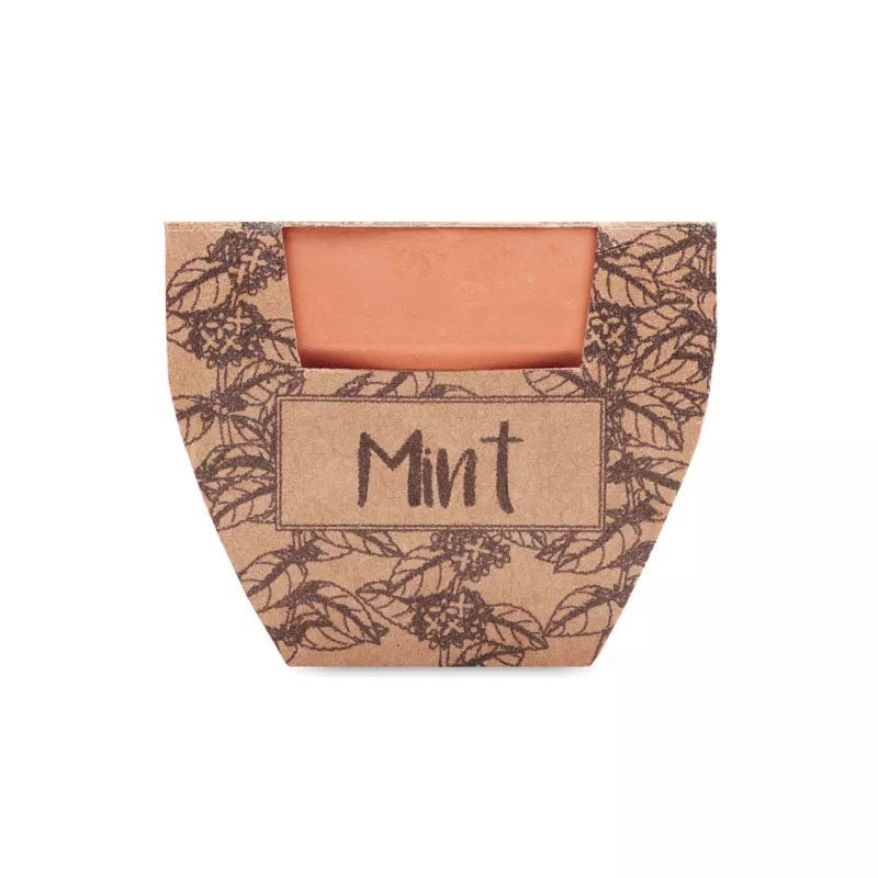 Doniczka z terakoty z nasionami mięty MINT POT - Drewna (MO2218-40)