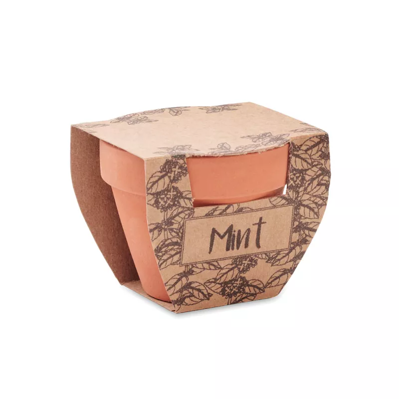 Doniczka z terakoty z nasionami mięty MINT POT - Drewna (MO2218-40)