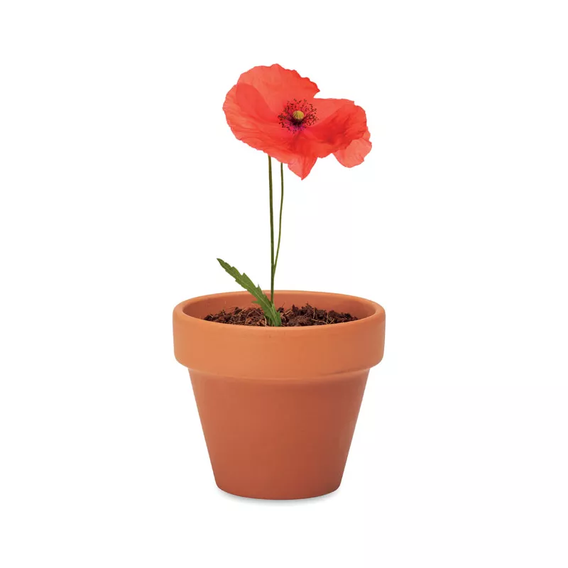 Doniczka z terakoty z nasionami maku RED POPPY - Drewna (MO6148-40)