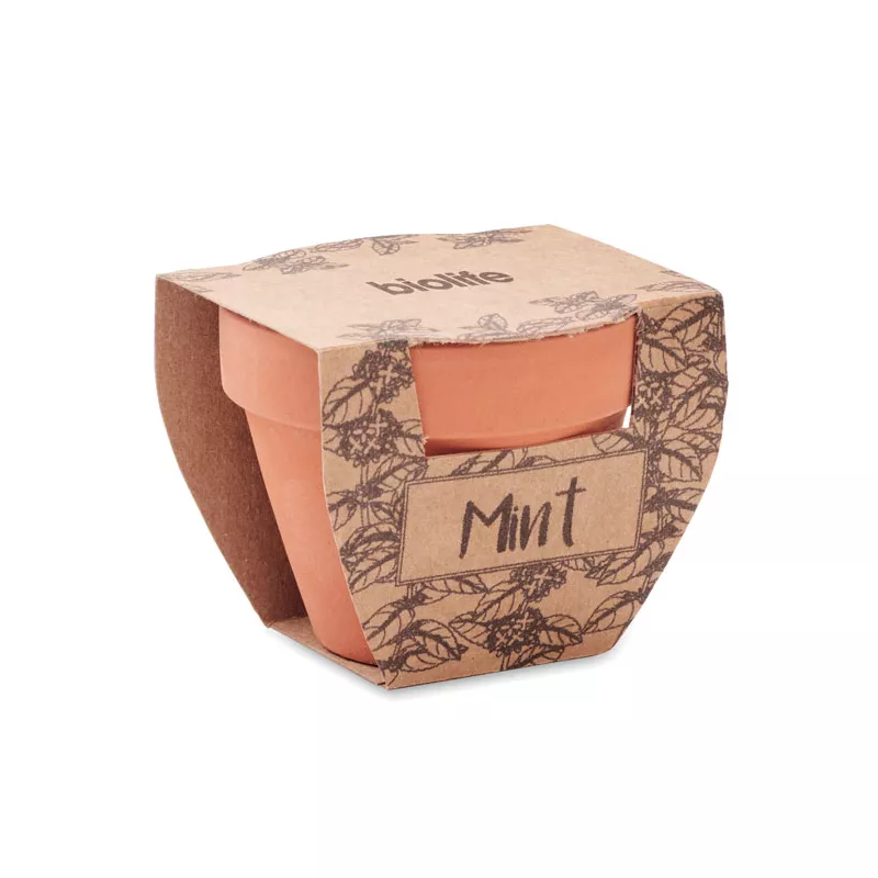 Doniczka z terakoty z nasionami mięty MINT POT - Drewna (MO2218-40)