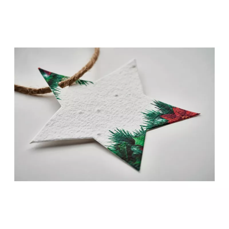 Gwiazdka papierowa z nasionami kwiatów STARSEED - Bialy (CX1516-06)