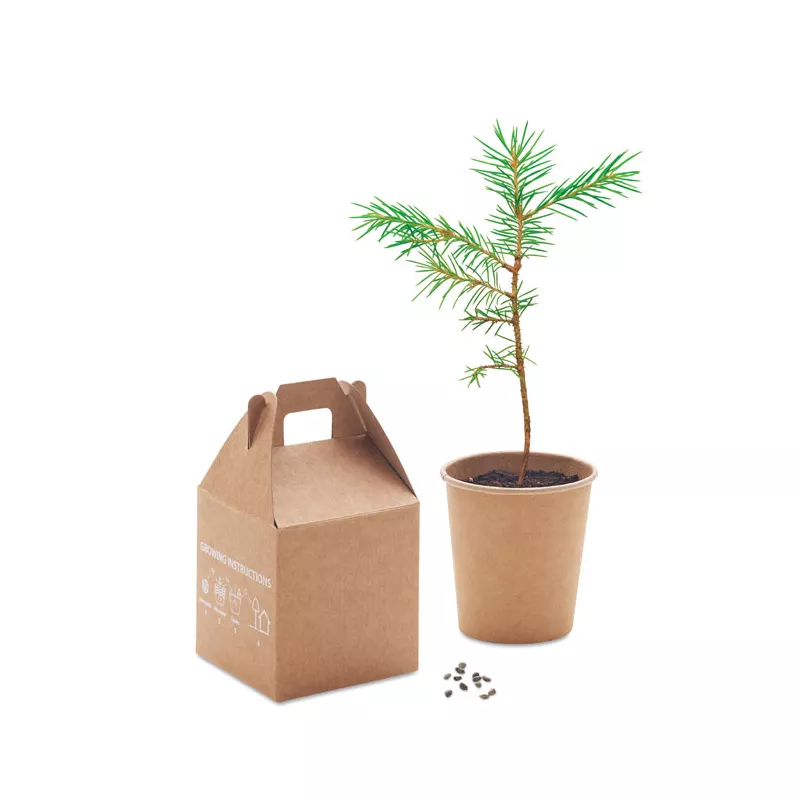 Zestaw do uprawy sosny z doniczką i torfem GROWTREE™ - Bezowy (MO6228-13)