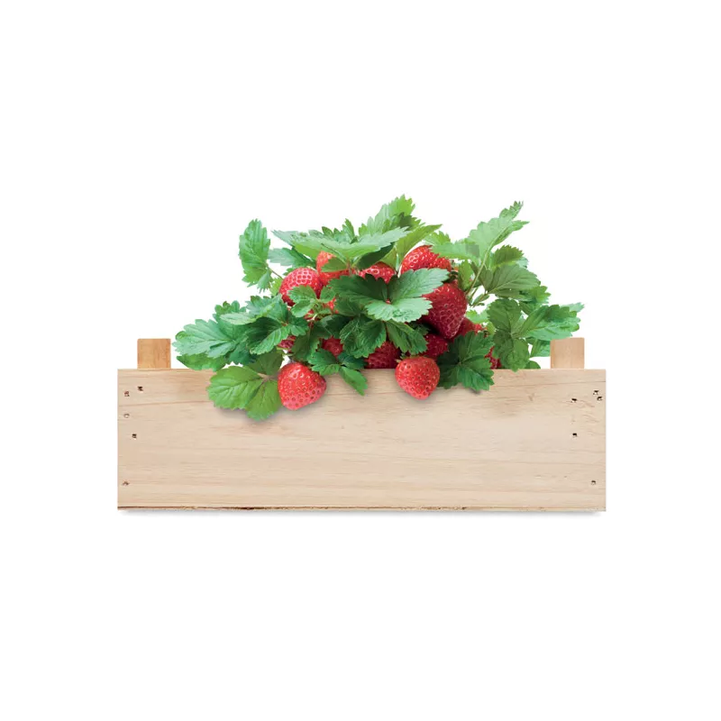 Zestaw do uprawy truskawek w skrzynce STRAWBERRY - Drewna (MO6506-40)