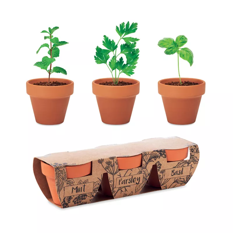 Zestaw 3 doniczek z nasionami ziół FLOWERPOT - Drewna (MO6145-40)