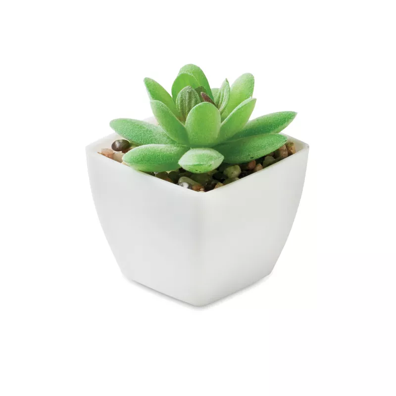 Sztuczna roślina mini graptopetalum z PP ARTIGRAP - Bialy (MO2854-06)